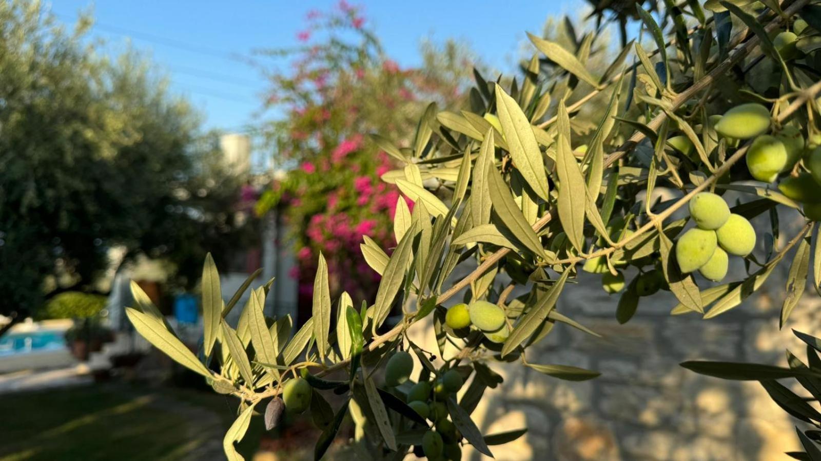 Lily'S Cottage Platanes (Rethymno) Exterior foto