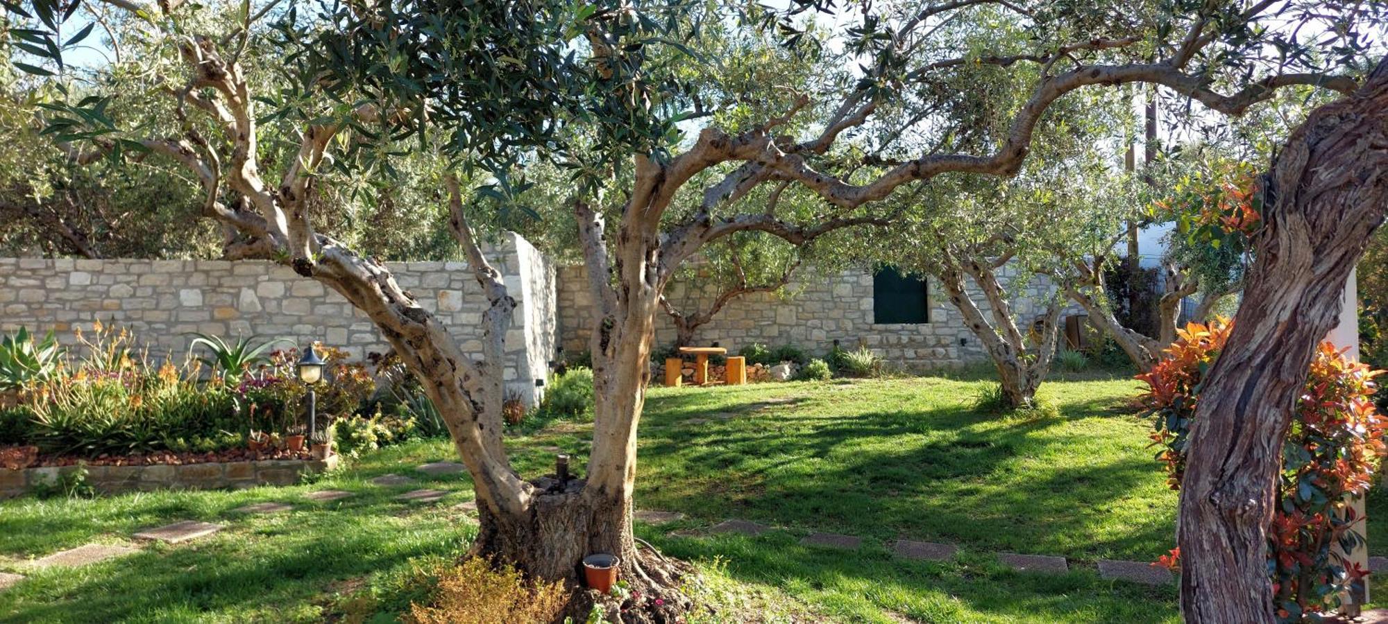 Lily'S Cottage Platanes (Rethymno) Exterior foto