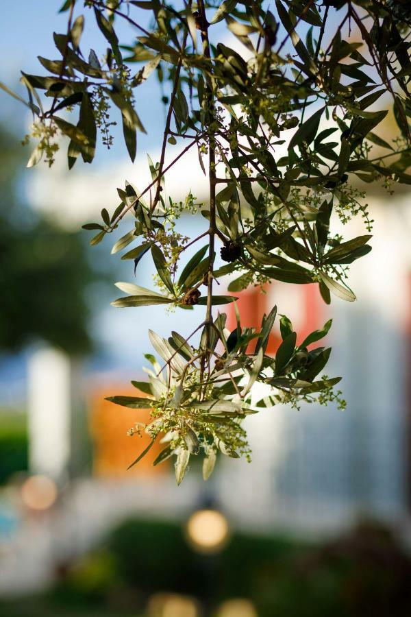 Lily'S Cottage Platanes (Rethymno) Exterior foto