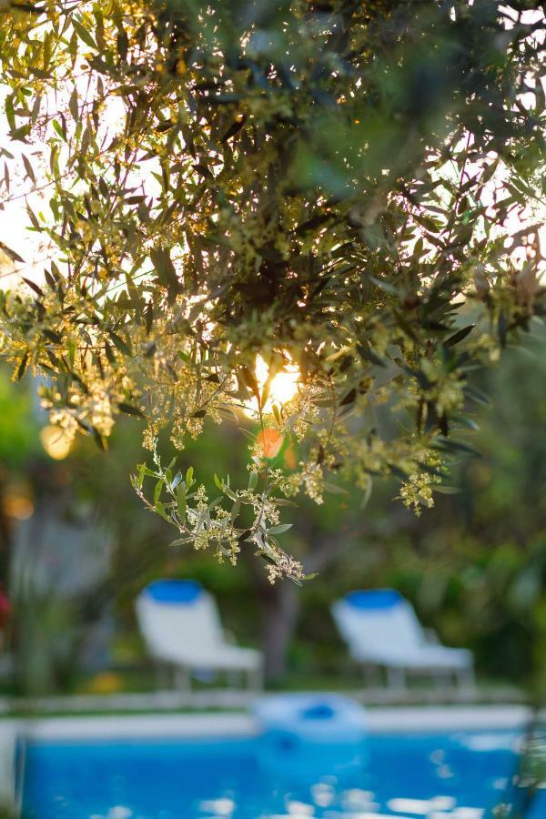Lily'S Cottage Platanes (Rethymno) Exterior foto